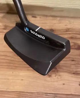 356556 GOODWOOD Welded Neck Blade Prototype Corsa Putter Raw