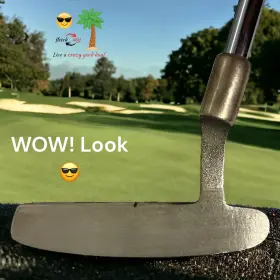 BR11 NORTHWESTERN Blade Putter Winn Grip