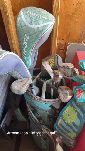 NSG1102251455 TOP FLITE Left Ladies Woods Iron Set Putter