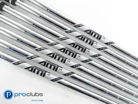 416784 TRUE TEMPER Amt Stiff Flex Steel Iron Shaft Set Tip