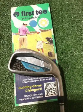 45745 WILSON STAFF Ladies Iron Aldila Quaranta Graphite Shaft