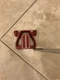 Ray Cook SR500 putter
