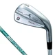 BRIDGESTONE GOLF 233HF 6-PW IRON SET N.S.PRO 850GH neo S FLEX STEEL SHAFT NIPPON