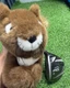Titleist - 913F - 3 Wood 15* - Graphite - Stiff Flex - RH + COVER