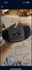 Never Compromise Alpha 2 Shaft Mallet Putter