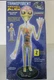 Lindberg #76014 Transparent Roswell Alien Anatomy Model Kit 19" NEW