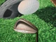 Womens RH King Cobra Baffler Blade AMS 5355 Sand Wedge SW Lady Flex Graph shaft