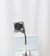 Titleist Scotty Cameron Phantom X 11.5 2022 35" Putter Excellent Rh 12716608