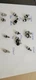 GOLF ADAPTER SCREWS, Cobra,Callaway,Mizuno,PXG,Ping,Tour Edge,TM,Titleist 3 Pack