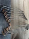 Ping Eye2 3-9, S, W Iron Set Right-Handed Steel Shafts Copper Silver Phoenix AZ