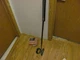 LAB PUTTER  DF 2.1  WITH UPGRADED STABILITY SHAFT [+$300 OPTION} 34" 68^