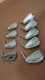 HONMA TOUR WORLD TW737vs Iron Heads 3-11 9pcs