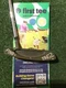 Ping Zing 2 Beryllium Copper BeCu Putter 41&rdquo; Inches (RH)