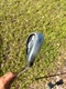 Callaway STEELHEAD X-14 PRO SERIES Single Irons 4,6,8, Stiff s300 Steel