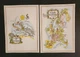 Vintage Pan Am American Airlines Rainbow Service Menus (2) Lot
