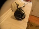 MIZUNO ST200x DRIVER, RH, 10.5*. ASCENT SHAFT, 60x, LEATHER COVER