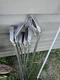 PING i3 0-SIZE IRON SET 4-9 & W,S,Orange DOT, Cushin Shaft, RH