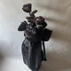 PING G430 MAX Driver G710 Irons Odyssey Putter Full Golf Club Set Caddy Bag Japa