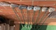 Wilson 1200 LT Iron Set Of 7 Golf Clubs: 3,4,6,7,8,9,PW R FLex Steel Shaft R-H