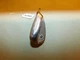 Cleveland CG14 Tour Zip Grooves Steel Shaft 14*  56* Wedge  N939