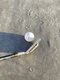 Mizuno MX-23 Forged Single 4 Iron  Misuno Exsar Blue Regular Graphite