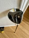 Taylormade RBZ Stage 2 10.5* Driver Fujikura Regular Flex Rocketballz RH Headcvr