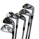 Mizuno Pro 245 6S Iron Set IR Flex S