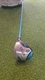 xxio 12 fairway wood lady 