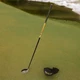 Gx-7 Golf Gx-7 Driver 14&deg; Driver Regular Flex Stock Shaft Good Condition Dent