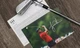 Limited Edition TaylorMade Tiger Woods Masters Commemorative Iron Set P-7TW 3-PW