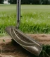  Odyssey Dual Force DF550 Blade Ladies Petite Alignment Aid 500g Putter 32.5" RH
