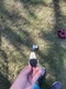 Odyssey 2 Ball White Steel Mallet Putter RH