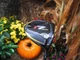 RH TaylorMade Golf R7 QUAD Mini Driver 11.5 Fujikura Speeder 6-S DEMO/BARELY HIT