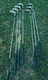 Wilson 1200 Lt Golf Club Iron Set 3, 5-PW (NO 4 Iron) Steel Shaft RH Good Cond.