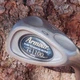 Tommy Armour Ti 100 Pure Titanium Pw Regular Graphite Pitching Wedge #P28