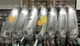 Tour Edge HOT LAUNCH C524 VIBRCOR 4-P Irons Set ELEVATE MPH 95 Stiff Flex Steel