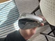 PXG O311 Forged 60 Degree Lob Wedge Right Handed Steel Shaft Golf Pride Grip