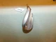 Mizuno MP-R12 Stiff Flex Steel Shaft 10* 58* Wedge 35.5 Inches  P806