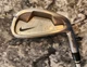 Nike NDS 4 Iron, Uniflex Steel Shaft, Right Hand