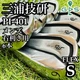Miura Giken Pi-401 Men'S Iron Set N.S Pro Modus3 Tour105 6Pcs Steel S