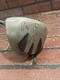 MG Golf T-Rex II Driver 10 Degree Pat Simmons Design MG Gold Shaft MC60