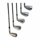 2023 TaylorMade P790 6-PW Iron Set Stiff Flex Nippon Steel Shaft RH -.25&rdquo;