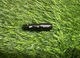 Tour Issue Aluminum OEM 2&deg; TP Taylormade Stealth Qi35 Qi10 Adapter .335 Driver