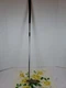Odyssey Dual Force DF 550 putter 34 1/2 " RH 