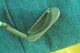 Ping AYD  mid mallet putter 36" 85029.