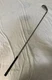 Callaway Golf Steelhead X14 6 Iron Right Handed Golf Pride Tour Wrap