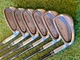 ◼️6pcs◼️ EPON AF-305 Iron Set 6clubs 5-9,Pw Shaft Raune i-90S Used from Japan