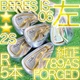 HONMA BERES IS-06 Left Hand Iron Set 7-PW 2S Grade Good  Golf Clubs