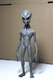 Grey Alien figure Roswell area 51 UFO