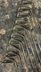 Golf Set 2,3,4,5,6,7,8,9,PW,SW Ping ISI-K Karsten Black Dot irons & Eye 2 iron